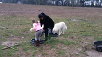 Feeding the guardian sheep dogs with Charissa.